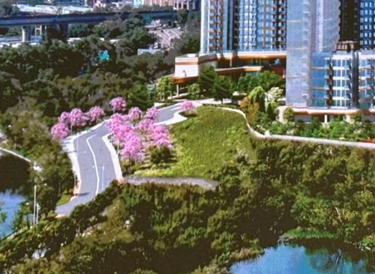 項目周邊林木、花樹與水塘的示意圖